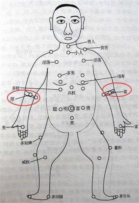 手臂上有胎記|胎記位置含義——肚臍、鎖骨、手臂、大腿、背部、胳膊、額頭。